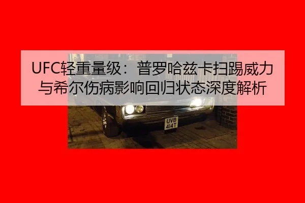 UFC轻重量级：普罗哈兹卡扫踢威力与希尔伤病影响回归状态深度解析