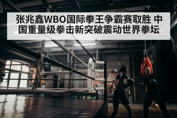 boxer training gym